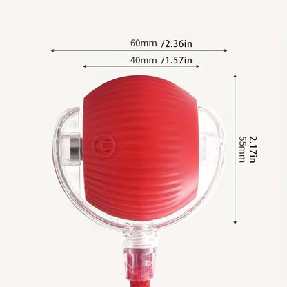 PawPlay™ Interactive Smart Ball