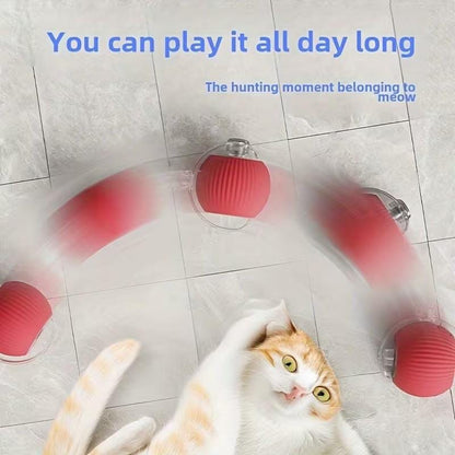 PawPlay™ Interactive Smart Ball