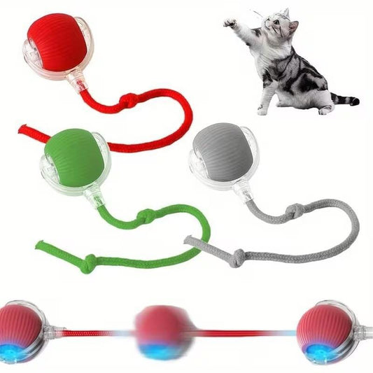 PawPlay™ Interactive Smart Ball
