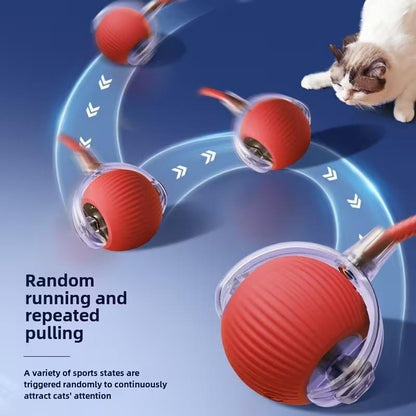 PawPlay™ Interactive Smart Ball